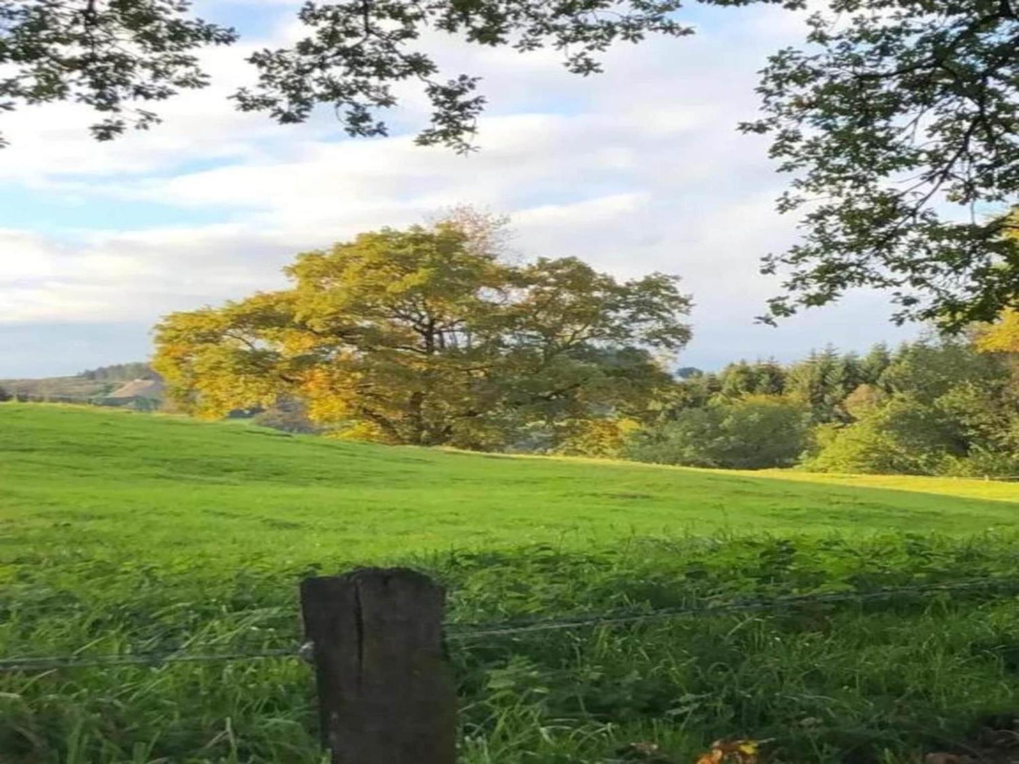 Detached House With Breathtaking Views Holiday home